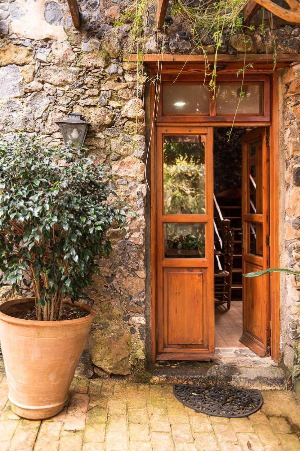 Homeforguest Cosy Rural Flat El Romero With Large Gardens 타코론테 외부 사진