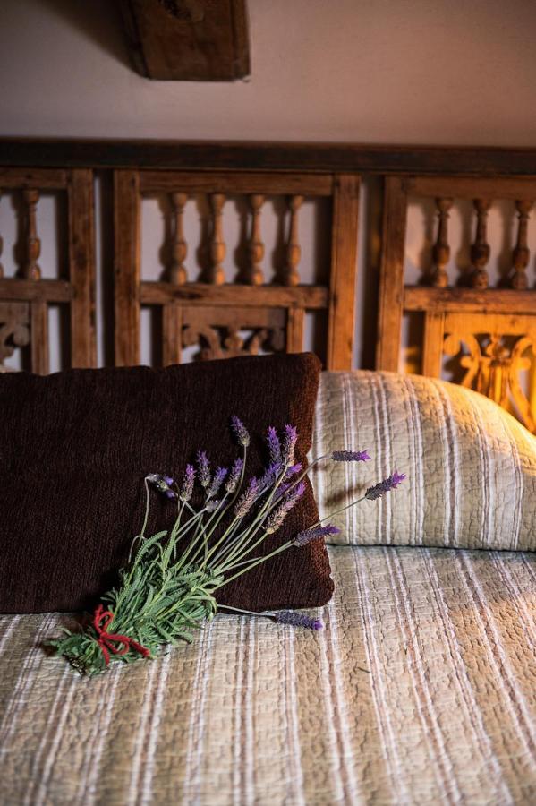 Homeforguest Cosy Rural Flat El Romero With Large Gardens 타코론테 외부 사진